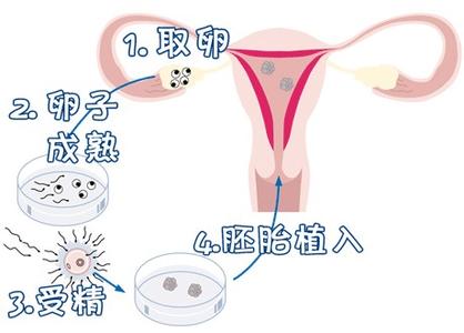 主任